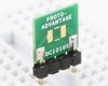 Discrete 1210 to 300mil TH Adapter - SM pins (10 pack)